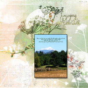 2021-LP-May-Photogrphy-Mt-Shasta