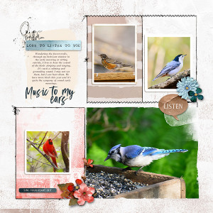 Bird Symphony