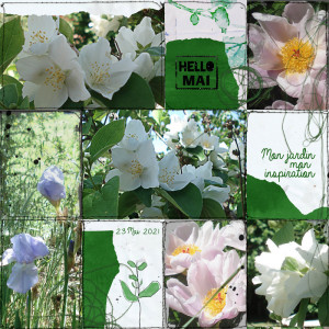 My Garden, my Inspiration