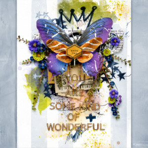 SomeKindOfWonderful