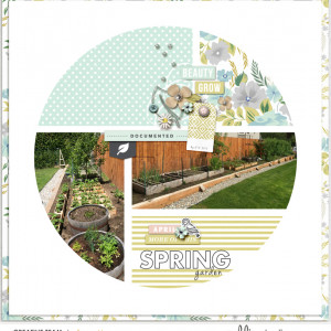 My Spring Garden 2014