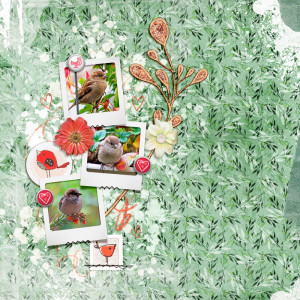May 2021 Template Challenge