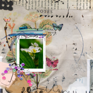 21-05_rjefferies-true and free - pretty little thing