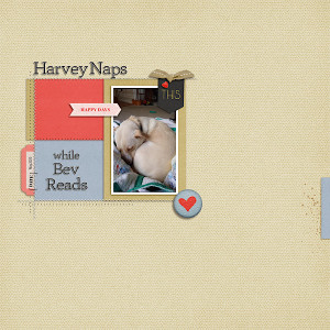 Harvey Naps
