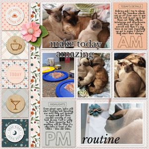 Routine
