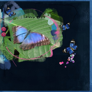 Blue Butterfly