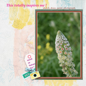 Inspiration-challenge-May