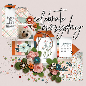 FF_5-28_MPM_SwL_Celebrate Everyday