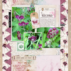 Lynn-Grieveson_2021-05_May_New_0528_Green-Shoots_Chevrons_web