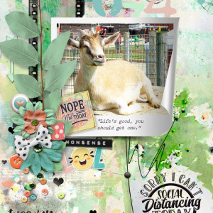 NBK-Design_2021-05_May_NEW_0528_Sarcastic_web