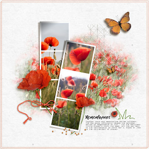 Remembrance
