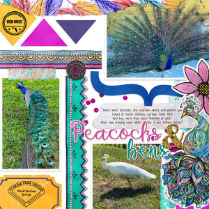 Peacocks & Hens