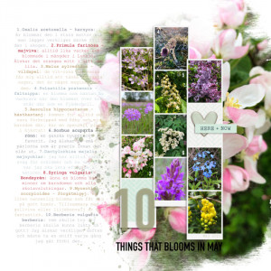 10 things that Bloom in May