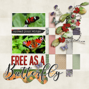 BYOC_6-21_PRD_SwL_Free As A Butterfly
