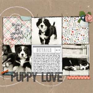 Puppy Love