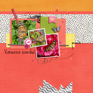 Pink Reptile Designs RAK Challenge