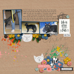 20120810 Here Kitty Kitty