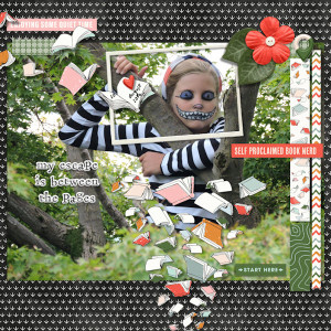 140820_S Cat Tree