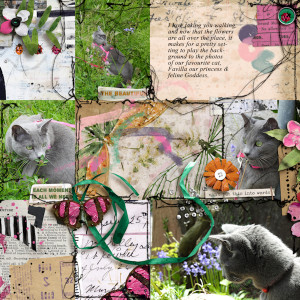 210508_cat Flower