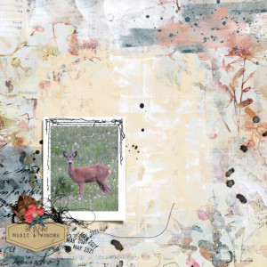 Rachel Jefferies Mixed Media Challenge - June 2021