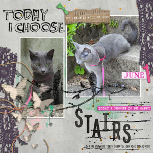 210601_cat Stairs