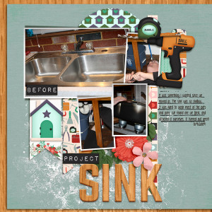 2009-Nov-Sink