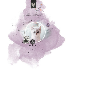 cat & mouse