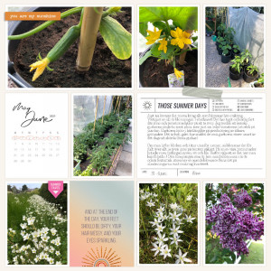 Week 22 2021