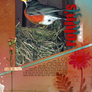 Scrapping-with-Liz_2021-06_June-MIS_web