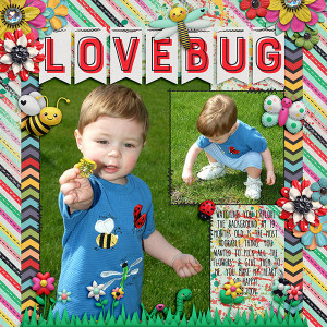 Love Bug