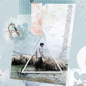 Transhumance