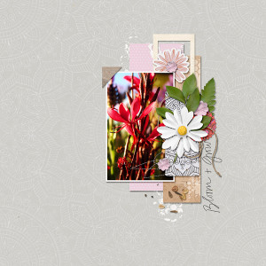 BLOOM AND GROW