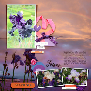 210606_irises
