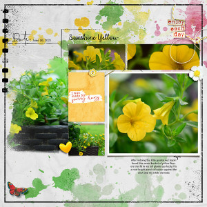 Sunshine Yellow