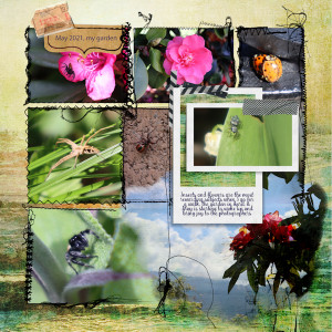 2105_garden