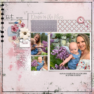 Down in the Lilacs