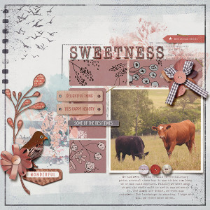 sweetness