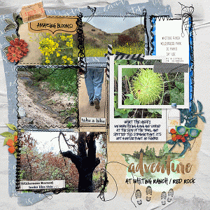Adventure
