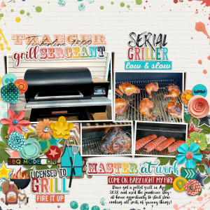 The Pellet Grill