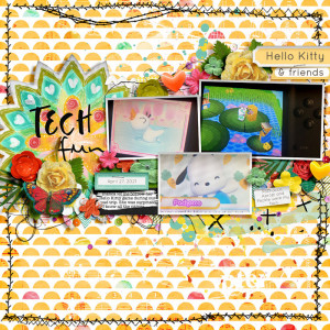 Tech Fun - FF 06/11 - Photography Challenge