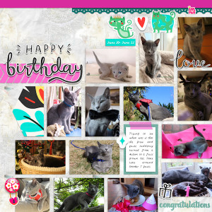210613_bday Cat