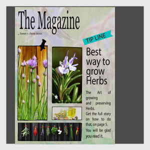 -Magazine-Cover