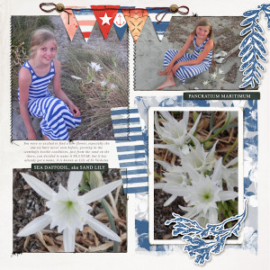 13jul_sea Lily