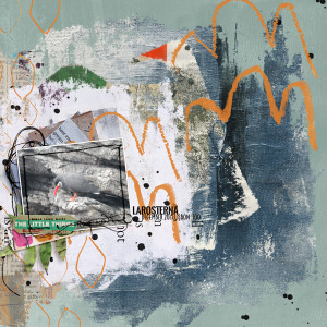 Rachel Jefferies: June 2021 - Larosterna