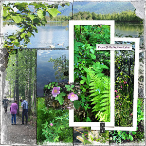 2019-Reflection-Lake-Flora