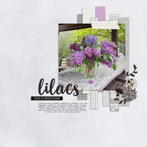 Lilacs
