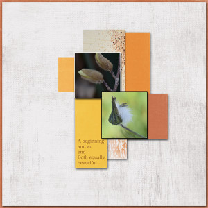 ---Beginning.jpg-scraplift