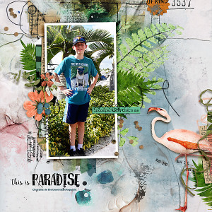 2018-This-is-Paradise-Christmas-in-the-DR