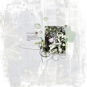 Ode to a Hosta