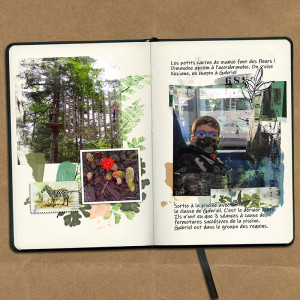 Project life June